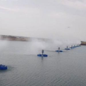 宁夏小南湖漂浮式蒸发器成功运行